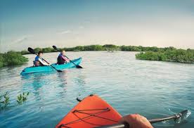 Water side eastern mangrove marina and jubail island south. Take A Kayak Through Abu Dhabi S Eastern Mangroves Abu Dhabi Blog