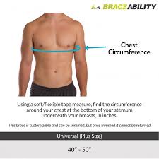 If you're part of those people trying to correct their posture surely you will have bumped into chiropractors websites showing their astounding the first thing you need to know is that chiropractic is absolutely not able to correct a poor posture. Plus Size Posture Corrector Adjustable Support Braceability