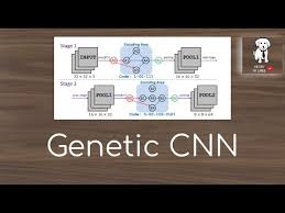 A convolution neural network has multiple hidden layers that help in extracting information from an image. Genetic Cnn Youtube