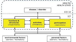 Implementing The Icf In Occupational Health Building A