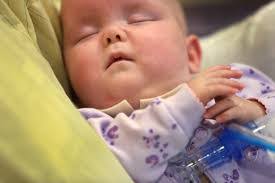 Danny Traub's Instagram, Twitter & Facebook