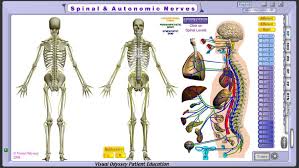 neuropatholator touch starter