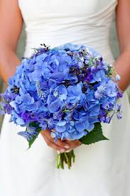 Love The Look Of This Blue Bouquet Weddingbouquet Summer Flowers Jocelyn Filley Photography Blue Wedding Bouquet Blue Themed Wedding Wedding Bouquets