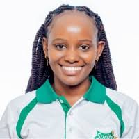 300+ "Stambuli" profiles