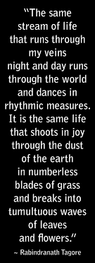Rabindranath Tagore Stream Of Life Tagore Quotes Words Words Quotes