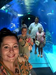 Good dinner spots in Bar Harbor area?