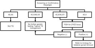 Current Controversies In Turner Syndrome Genetic Testing Assisted Reproduction And Cardiovascular Risks Sciencedirect
