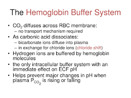 Ppt Chapter 26 Balance Powerpoint Presentation Free Download Id 2127603