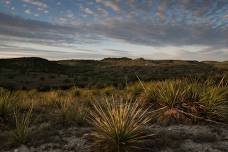 September 12 | Land Stewardship Workshop