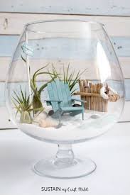 Diy Beachy Air Plant Terrarium Fairy Garden Diy Beach Diy Beach Crafts