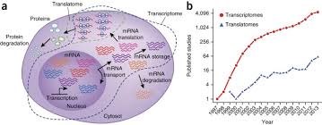 We normally associate it with aws s3, but object storage can also be run on your private network with minio. Translational Control Of Immune Responses From Transcripts To Translatomes Nature Immunology