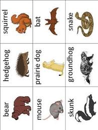 Hibernating Animals Vocabulary Cards Great For Esl Enl Animals That Hibernate Hibernating Animals Preschool Hibernation Preschool Theme