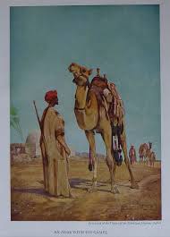He was kind enough to agree to it. Pin On Arabian Odesy