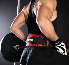 Gym Weight Lifting Belt