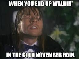Pin By Glenn Goodwin On Memes Cold November Rain November Rain Memes