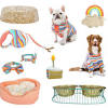 Saint vincent de paul in bend, the giving plate, family kitchen, westside church, foundry church, nativity lutheran church, redmond community church all new hope pet food clients at hsco shelter are required to submit this. 1
