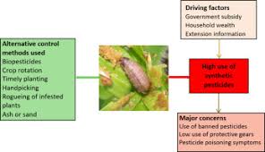Pests also like to nibble on packages and fabric. Understanding Smallholders Responses To Fall Armyworm Spodoptera Frugiperda Invasion Evidence From Five African Countries Sciencedirect