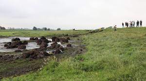 Een wijk is daardoor onder water komen te staan. Bqfnn Jkb2ifnm