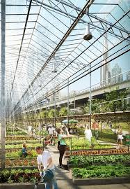 Gallery Of Machou Designs World S Longest Urban Agriculture Park For Dubai 5 Urban Agriculture Urban Farming Architecture Agriculture Design