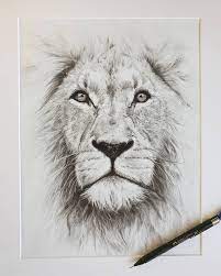 Pin On Pencil Drawings Katie Artside