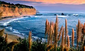 Image result for California Sand 2023 Santa Cruz