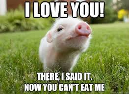 20 Cute Pig Memes That Will Surely Steal Your Heart Sayingimages Com Cute Baby Pigs Baby Pigs Funny Pigs