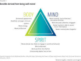 These hormones supply the sensation of alertness. Back Button