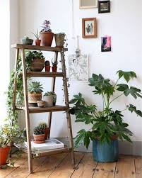 10 Cool Diy Indoor Plant Shelves To Enhance Your Room Beautiful Decor It S Indoor Plant Shelves Living Room Plants Plant Shelves