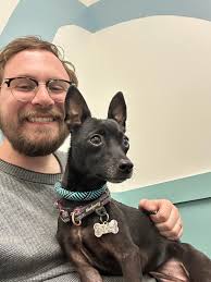 Straydar for Arizona, USA