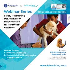 ← penghargaan abdibhaktitani tahun 2015 kepada upt veteriner sulawesi tengah. Bumn Paramedik Veteriner Lowongan Kerja Cpns Kab Bogor Ta 2012 2013 Juni 2020 Cari Tahu Informasi Tentang Jurusan Paramedik Veteriner Di Tahun 2020 Hijab Aisa