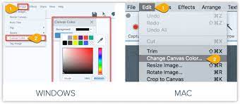 A png is an image file type that allows you to have no background color. How To Remove The Background From A Picture Techsmith