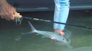 St croix triumph inshore spinning rod review. St Croix Triumph Review Top Quality Spinning Fishing Rod Fishing Perfect Fisherman Product Reviews Ratings Angler Buying Guides