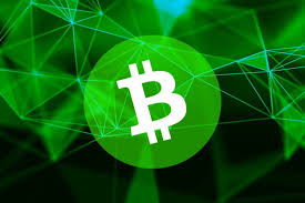 Bitcoin Cash Naik 70 Selama Seminggu Coinshark