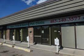 Calgary avian & exotic pet clinic. Calgary Avian And Exotic Pet Clinic 2308 24th Street Southwest Calgary Reviews And Appointments Topvet