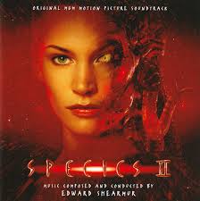 Warren Gref Discography: Vinyl, CDs, & More