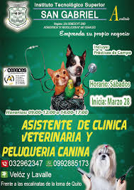 San Gabriel Tecnológico Superior