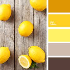 Citrus colors are colors inspired by citrus fruits such as oranges, lemons, limes and grapefruits. Fall Colors Color Palette Ideas