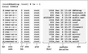 Linux Ls Output Explained Linux Explained Word Search Puzzle