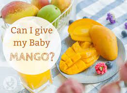 Can I Give My Baby Mango