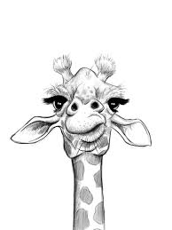 Sketch Giraffe Iphone 11 Soft By Jonthomson Giraffe Art Art Drawings Simple Art Drawings Sketches Simple