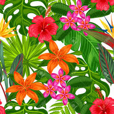 Browse and download the most beautiful flower pictures. Seamless Pattern With Tropical Plants Leaves And Flowers Background Made Without Clipping Mask Easy To Use For Backdrop Textile Wrapping Paper Royalty Free Cliparts Vectors And Stock Illustration Image 55229918