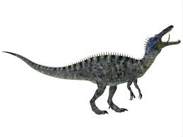 Image result for Suchomimus
