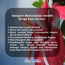 Ini adalah jawapan mengapa bunga raya dijadikan sebagai bunga kebangsaan. Mengapa Bunga Raya Dipilih Sebagai Kebangsaan