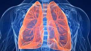 Sedangkan pengertian dari asbes ialah tipe mineral yang lazimnya dipakai guna atap gedung. Asbestosis Tribunnewswiki Com Mobile