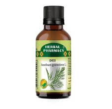 Image result for Anethum