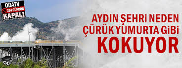 12.621 views1 year ago beyaz tv. Bulbul Haberleri