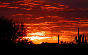Phoenix, arizona, usa cityscape in downtown at sunset. Phoenix Arizona Wallpapers Wallpaper Cave