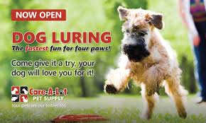 Maybe you would like to learn more about one of these? Dog Luring Virginia Beach Near Norfolk Care A Lot Pet Resorts