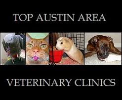 Maybe you would like to learn more about one of these? Austin S Top 20 Veterinary Clinics Austin Relocation Guide