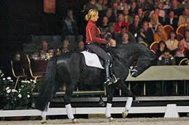 Van grunsven en salinero werden nederlands kampioen in 2003, 2005 en 2007. Anky Van Grunsven On Salinero Writing Of Riding